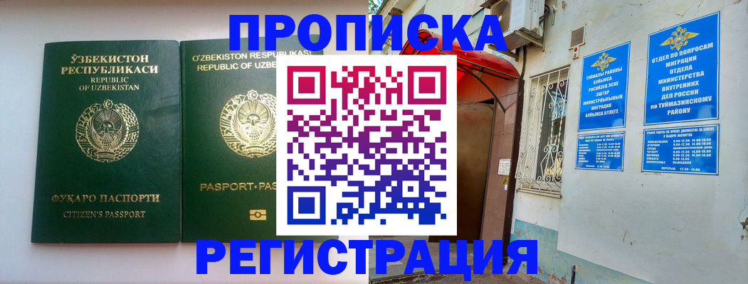 где прописаться в Курчалом